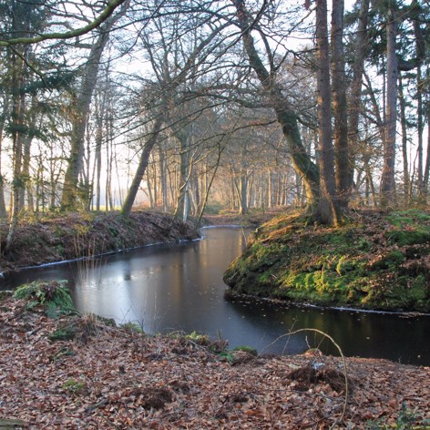 This slide displays Landgoed Olterterp Lauswolt.