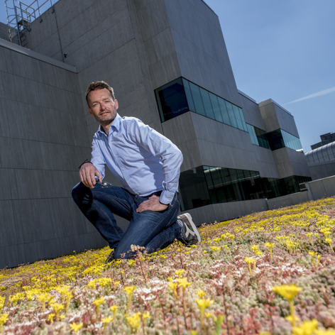 This slide displays mos-sedum roof with person.