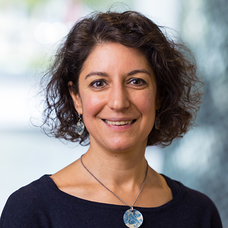 Click here to go to the newsoverview with a filter on Alexandra Rosian.