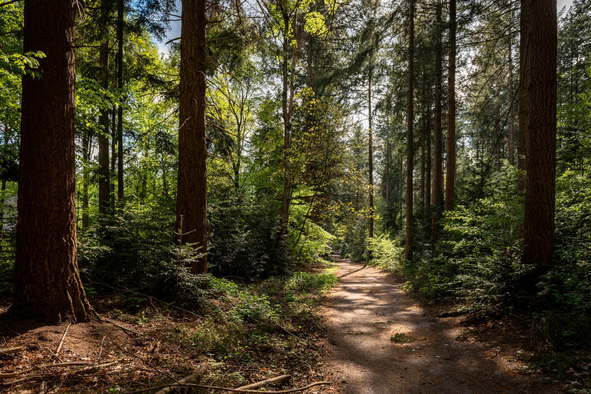 This slide displays Landgoed Molecaten ASR 1.