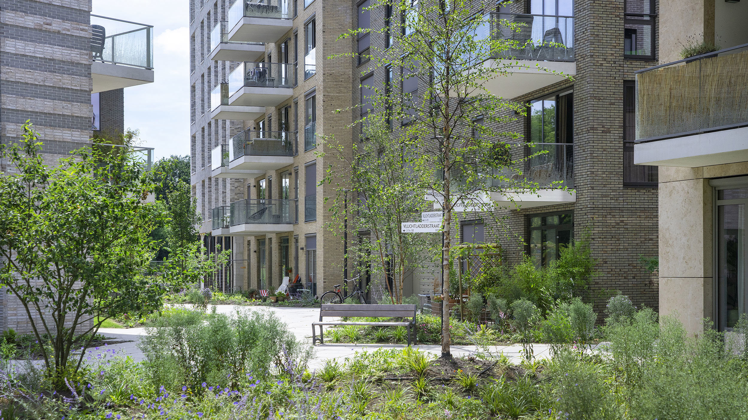 This slide displays ASR DCRF Cruquiuswerf Foto Corné Bastiaansen (3).