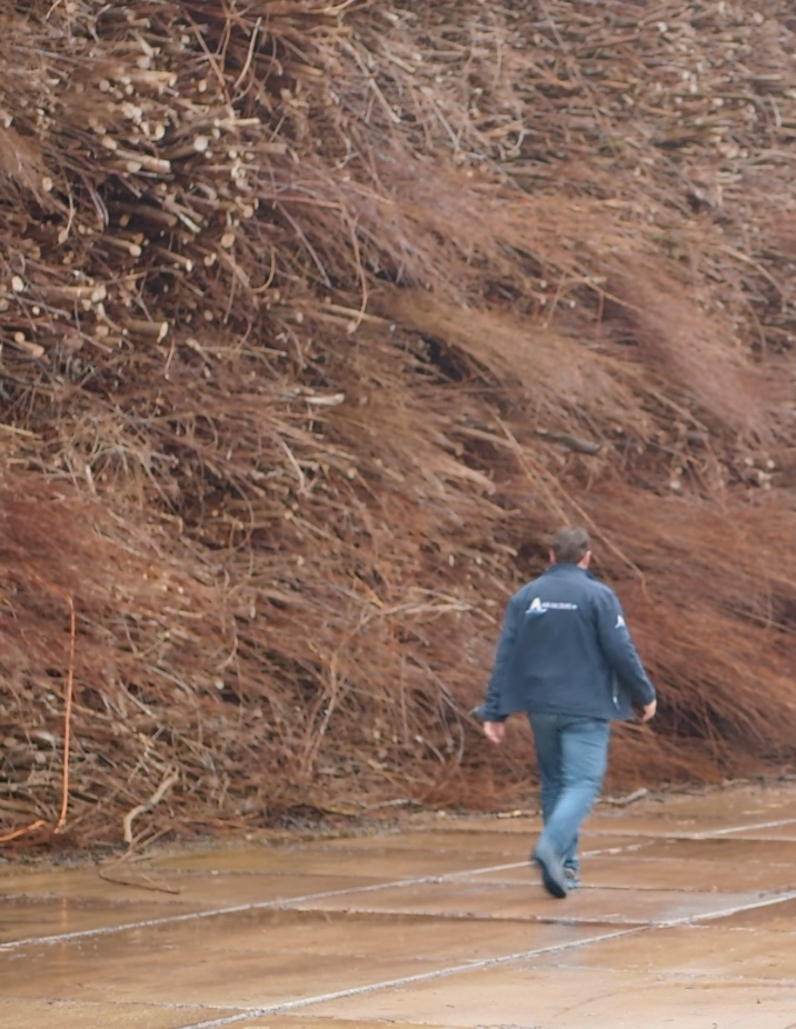 This slide displays Van Aalburg.