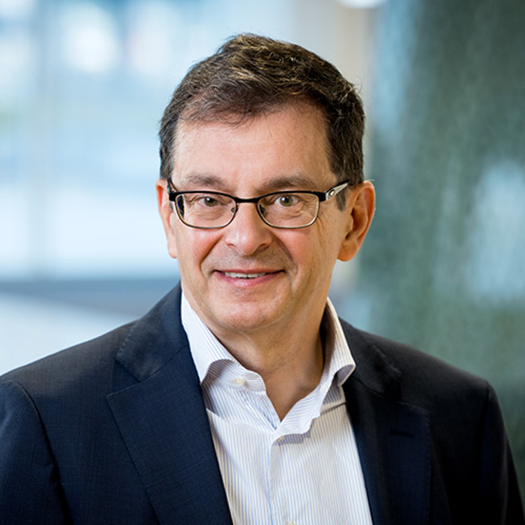 This is an image of Henk van de Laar.