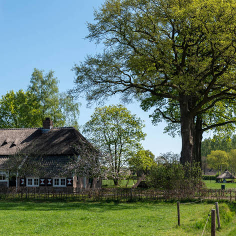 This slide displays Landgoed Junne Asr (1).