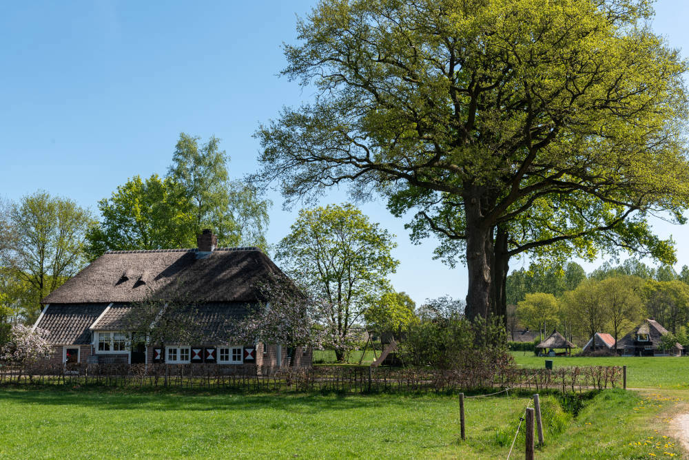 This slide displays Landgoed Junne Asr (1).