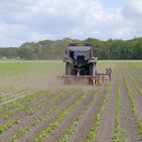 This slide displays Harro Oosting.