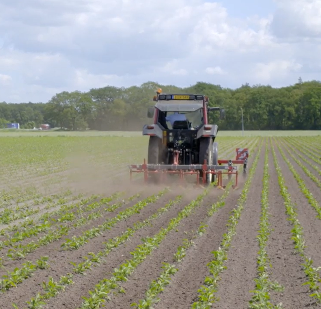 This slide displays Harro Oosting.