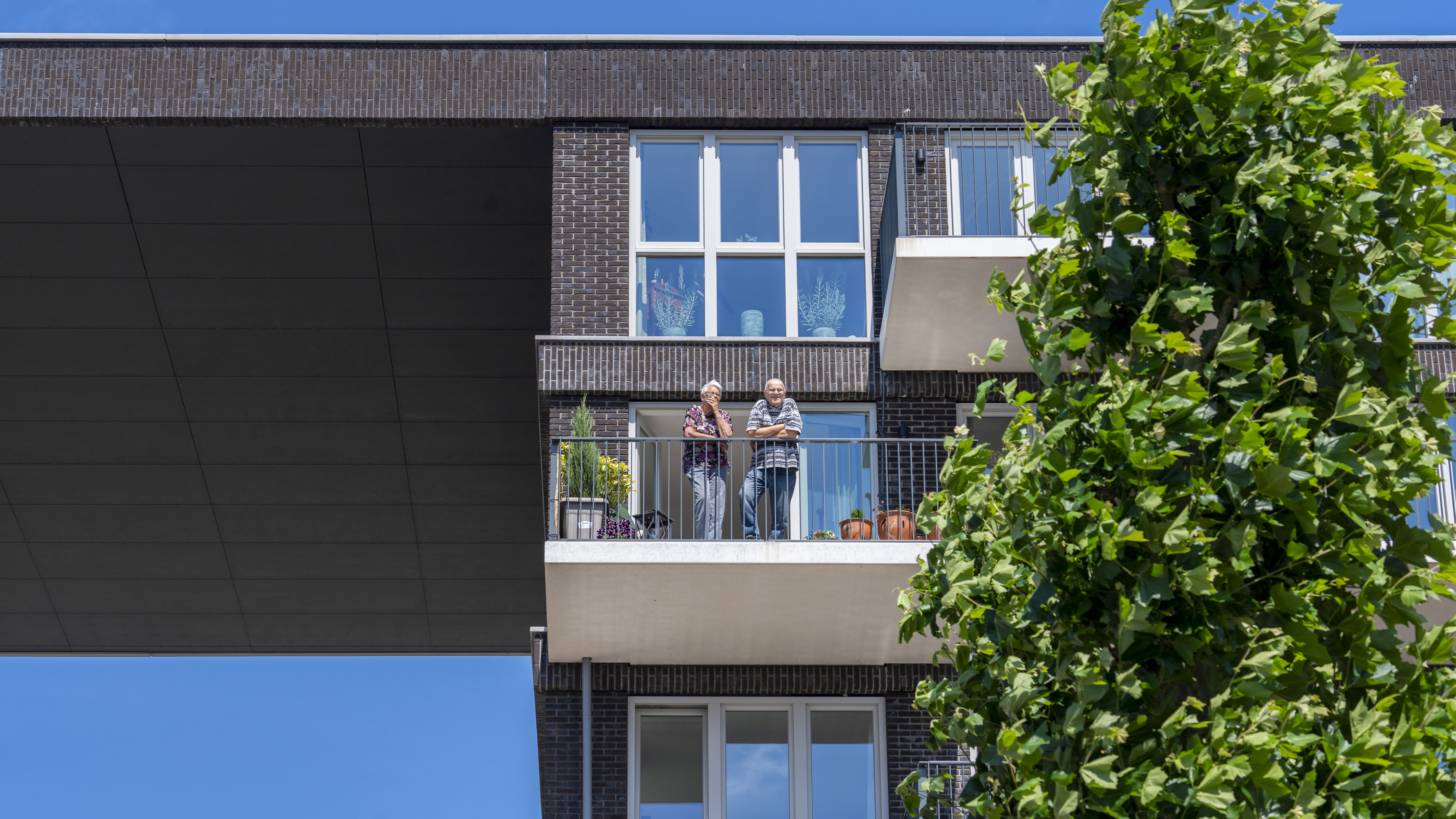 This slide displays ASR DCRF Lapis Lazuli Foto Corné Bastiaansen.